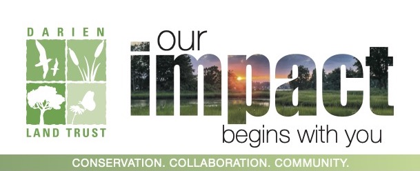 2025 Spring Appeal Our Impact